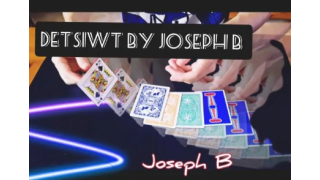 DetsiwT by Joseph B