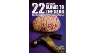 22 Blows To The Head by Jay Sankey