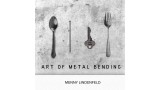 Art Of Metal Bending by Menny Lindenfeld