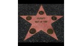 Celebrity Walk Of Fame by Jonathan Royle