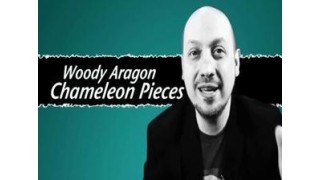 Chameleon Pieces by Woody Aragon
