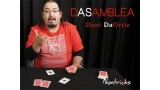 Dasamblea (Dassembly) by Dani Daortiz