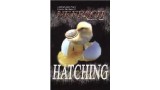 Hatching by Nefesch