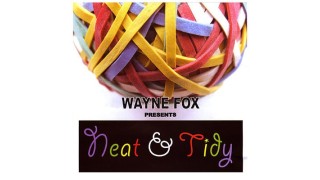 Neat And Tidy by Wayne Fox