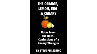 The Orange, Lemon, Egg And Canary by Steve Pellegrino