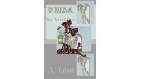 In The Play Of Shadows: The Tarot Effect by Tc Tahoe