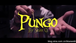 Pungo by Sean Oulashin