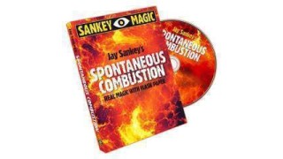 Spontaneous Combustion by Jay Sankey