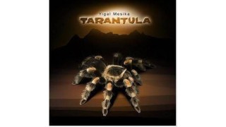 Tarantula by Yigal Mesika