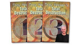 Total Destruction (1-3) by Troy Hooser