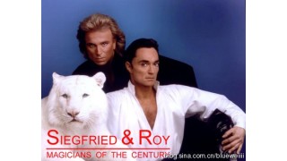 The World Of Siegfried And Roy by Siegfried And Roy