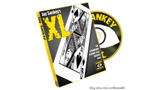 Xl by Jay Sankey