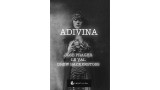 Adivina by Jose Prager, Lewis Le Val And Drew Backenstoss
