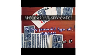 Any Card At Any Cato by Joseph B