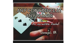 Any Coincidence At Any Number by Joseph B