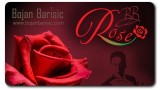 Bb Rose by Bojan Barisic