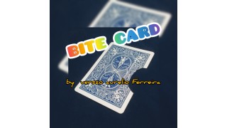 Bit Card by Versao Aurelio Ferreira