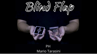 Blind Flap Project by Ph And Mario Tarasini