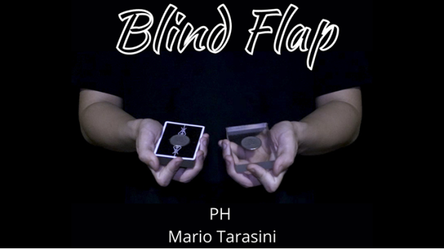 Blind Flap Project by Ph And Mario Tarasini
