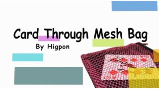 Card Through Mesh Bag by Higpon