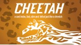 Cheetah by Berman Dabat & Michel & Vernet