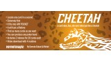 Cheetah by German Dabat & Michel