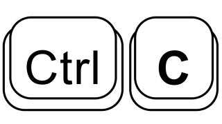 Ctrl-C by Chris Rawlins