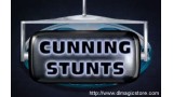 Cunning Stunts by Tim Ellis & Sue-Anne Webster