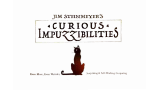 Curious Impuzzibilities by Jim Steinmeyer