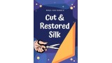 Cut And Restored Silk by Phoa Yan Tiong