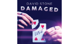 Damaged by David Stone