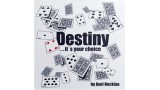 Destiny It's Your Choice by Axel Hecklau