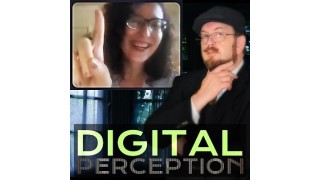 Digital Perception by Vincent Wilson