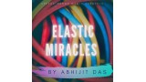 Elastic Miracles by Abhijit Das