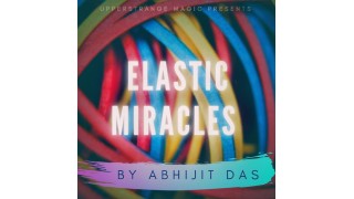 Elastic Miracles by Abhijit Das