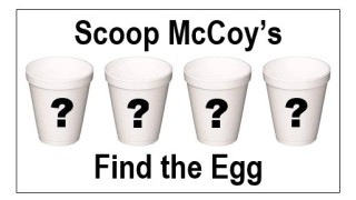 Find The Egg by Scoop Mccoy