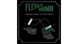 Flexilis Mundi by Davide Mundi