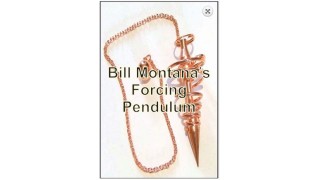 Forcing Pendulum by Bill Montana