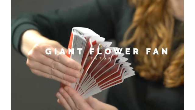 Giant Flower Fan by Ekaterina