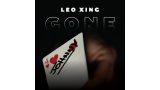 Gone by Leo Xing