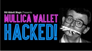 Hacked! by Mullica Wallet