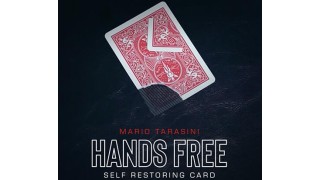 Hands Free by Mario Tarasini & SansMinds