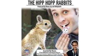 Hipp Hopp Rabbit by Rocco Silano