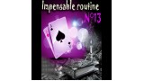 Impensable Routine N 13 by Le Petit Magicien