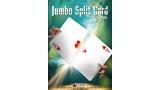 Jumbo Split Card by Syouma