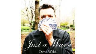 Justawave (Featuring The Easypass) by David Webb