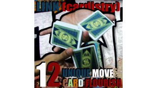 Link (Cardistry Project) by Saysevent