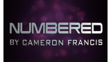 Numbered by Cameron Francis