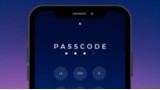 Passcode by Adrian Lacroix