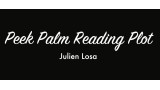 Peek Palm Reading Plot by Julien Losa
